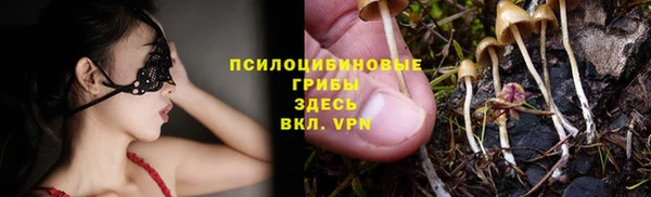 прущая мука Алзамай