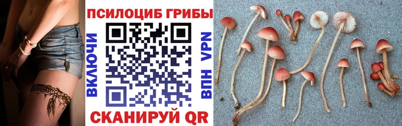 Галлюциногенные грибы Magic Shrooms  Североуральск 
